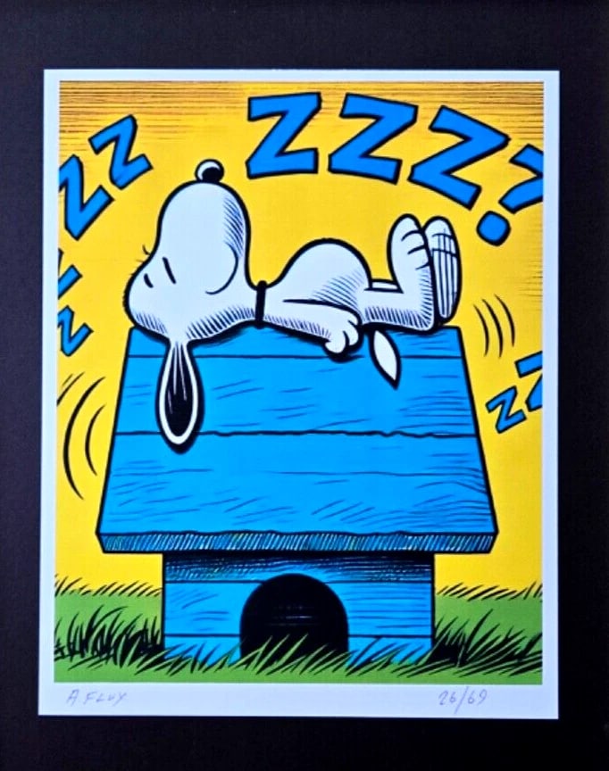 AIDAN FLUX | Hand Signed Original Print Framed LtdEd of 69 COA | SNOOPY ZZZ - 2