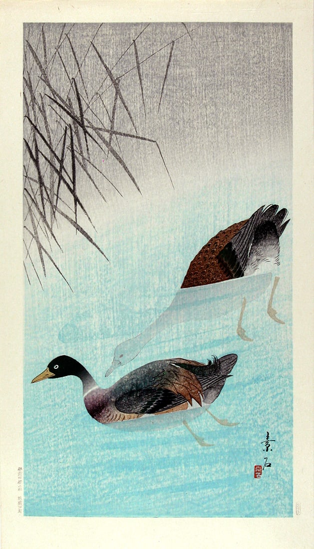 SOSEKI, Komori: Mandarin Ducks