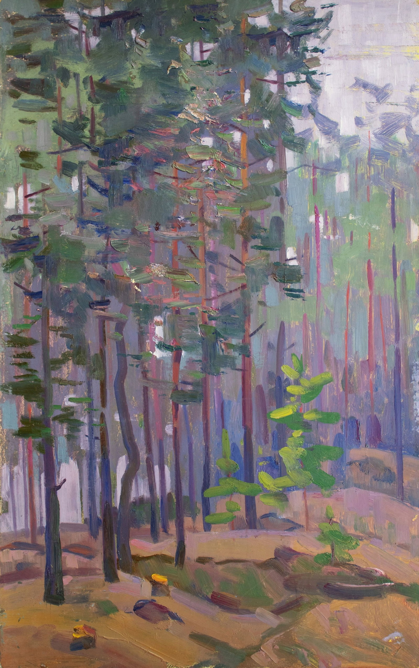 Tyukha Ivan (Ukrainian artist), "In the pine forest", oil on cardboard: ARTIST: Tyukha Ivan Andriyovich, Ukrainian artist TITLE: "In the pine forest" SIZE: 79 x 50 cm, (31 x 19 3/4 in.) MEDIUM: oil on cardboard YEAR OF CREATION: not dated CONDITION: The painting is in goo