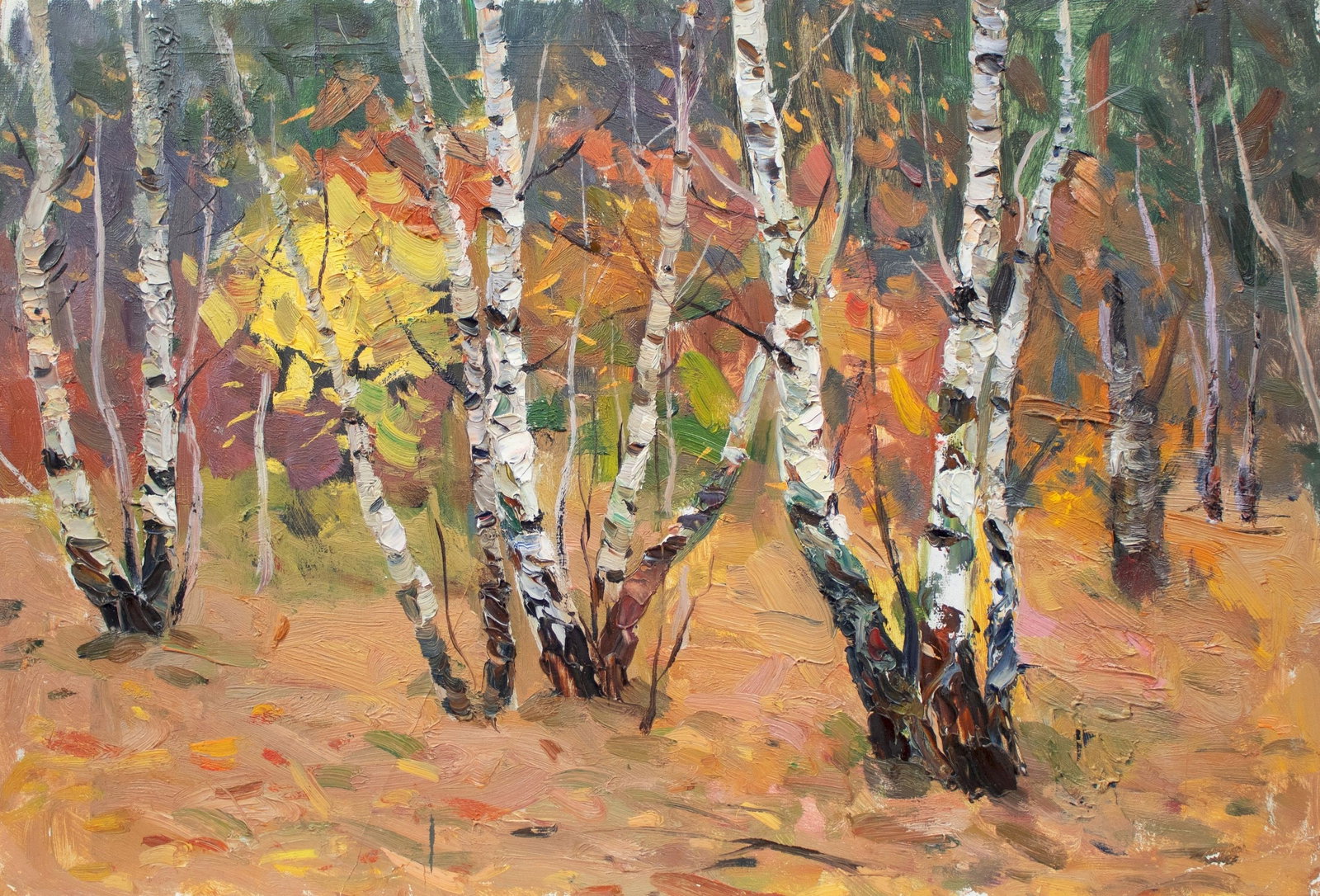Artamonov Olexiy (Ukrainian artist), "Autumn in the birch forest", oil on cardboard: ARTIST: Artamonov Olexiy Mykhaylovich, Ukrainian artist TITLE: "Autumn in the birch forest" SIZE: 35 x 50 cm, (13 3/4 x 19 3/4 in.) MEDIUM: oil on cardboard YEAR OF CREATION: not dated CONDITION: The