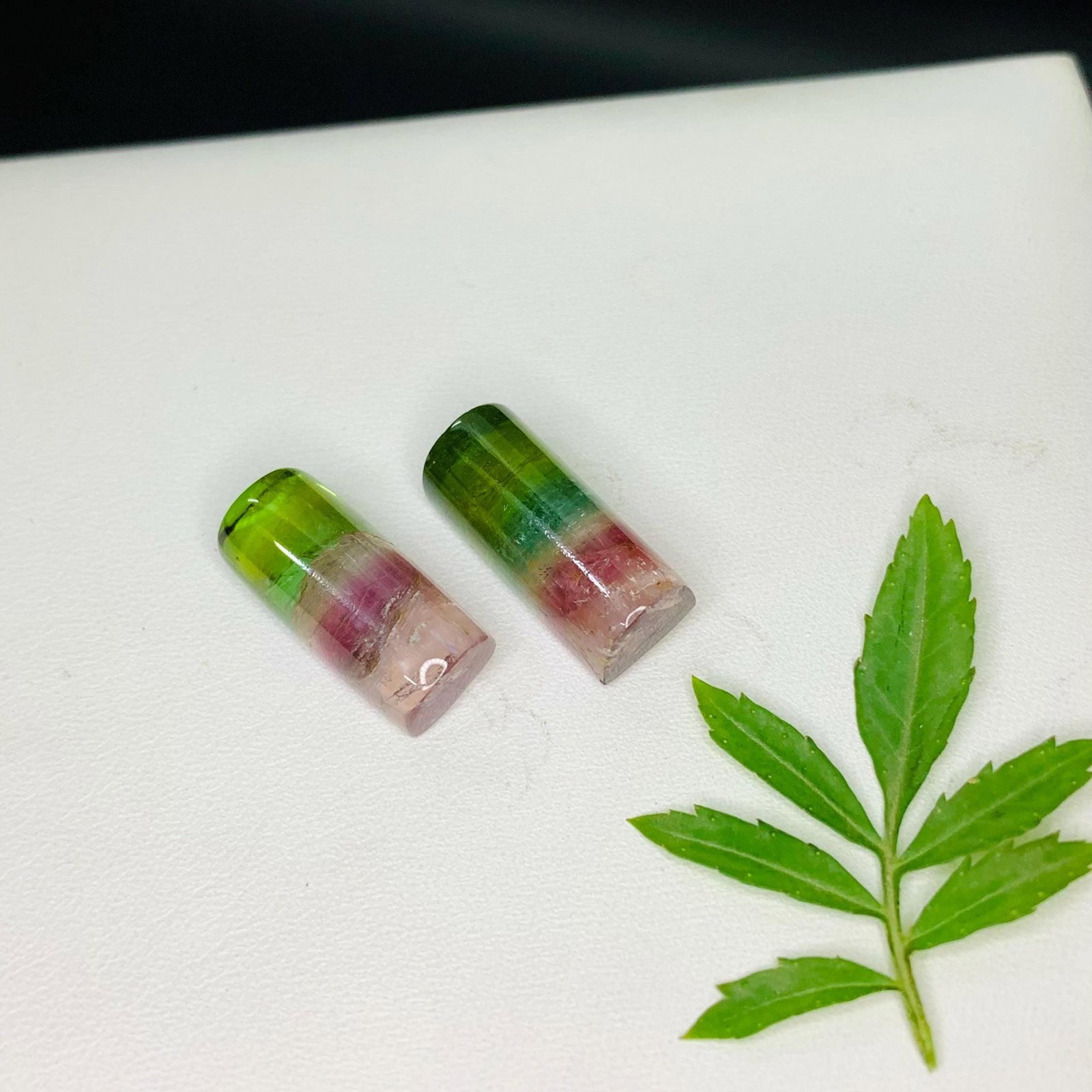 Tri-Color Tourmaline Cabochon Pair: Afghan Gemstone, 30.20 Carat - 2