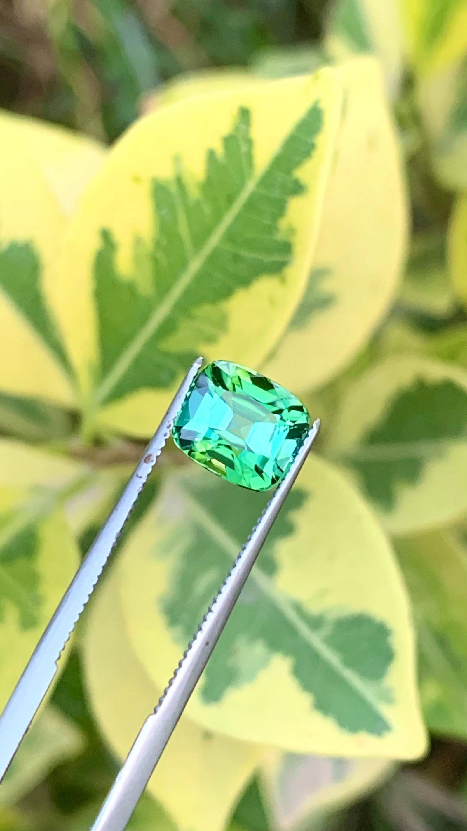 Natural Mint Green Tourmaline Cushion Cut Gemstone For Ring - 2.110 Carat: Highlights Supplies for making crafts Materials: Gemstone: Tourmaline Carat weight: 2.110 Weight : 2.110 Carat Dimensions : 7.8*6.65*5.8 MM Shape : Cushion Cut Clarity : Loupe Clean Color : Mint