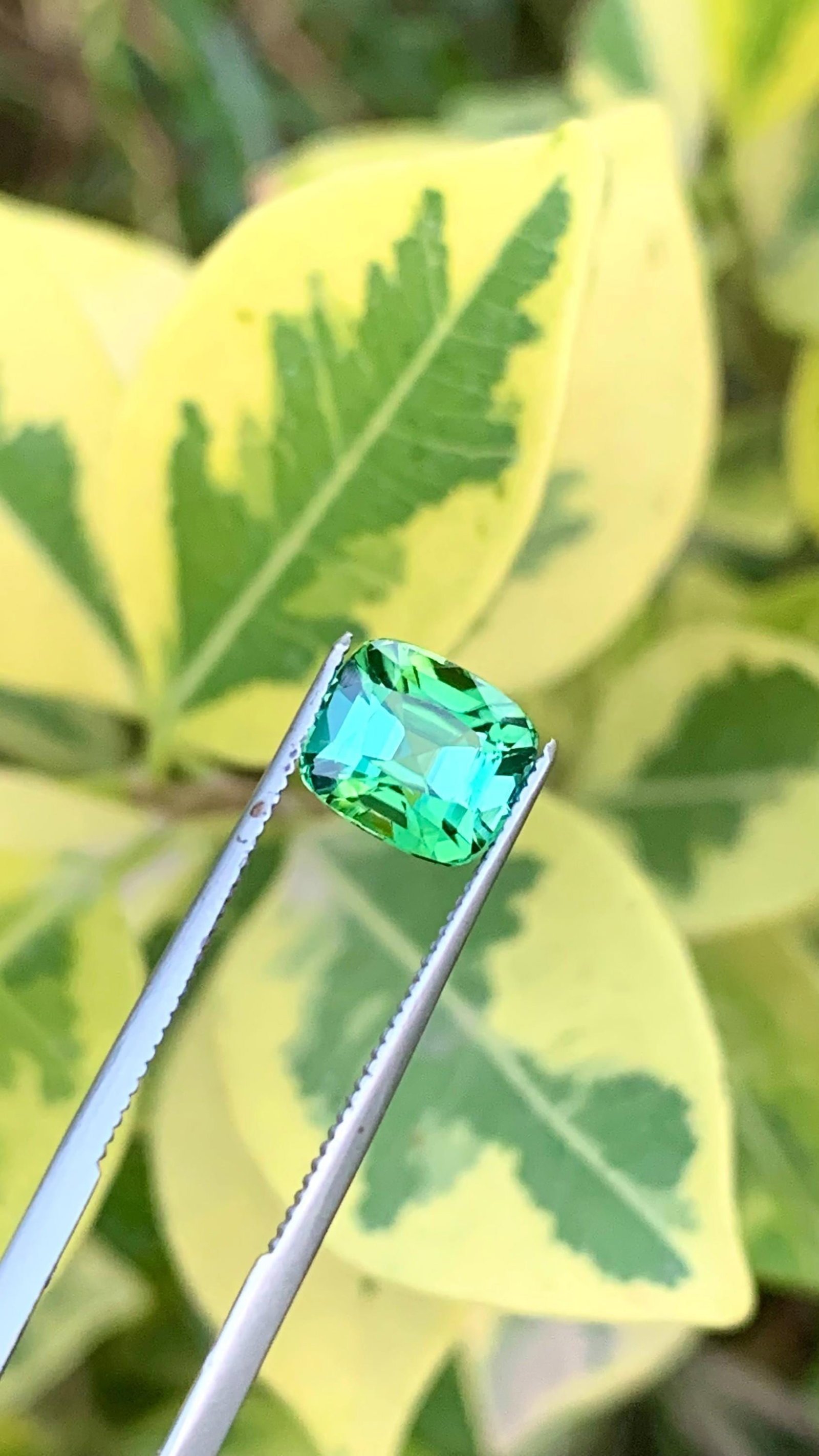 Natural Mint Green Tourmaline Cushion Cut Gemstone For Ring - 2.110 Carat - 3
