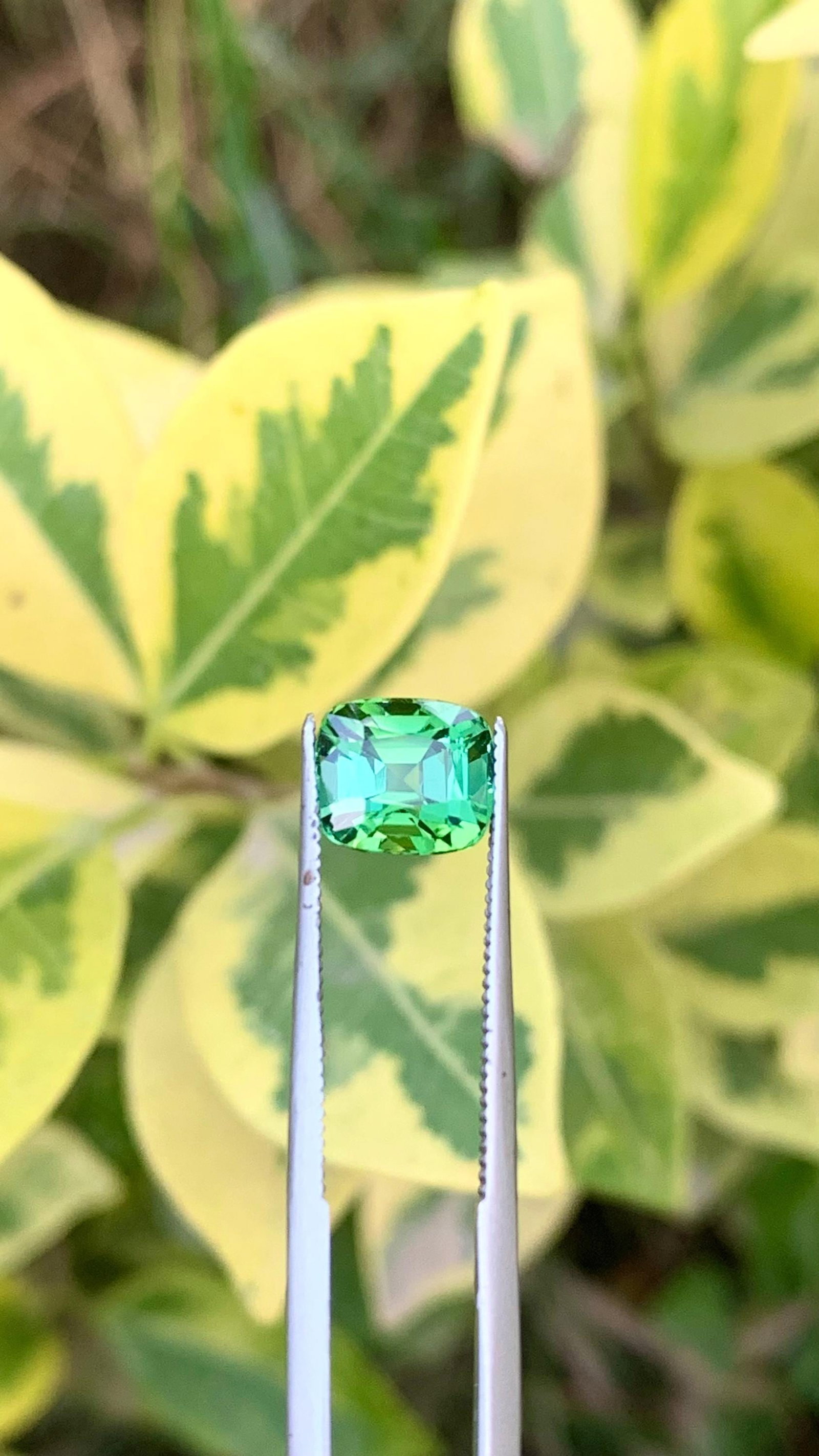 Natural Mint Green Tourmaline Cushion Cut Gemstone For Ring - 2.110 Carat - 4