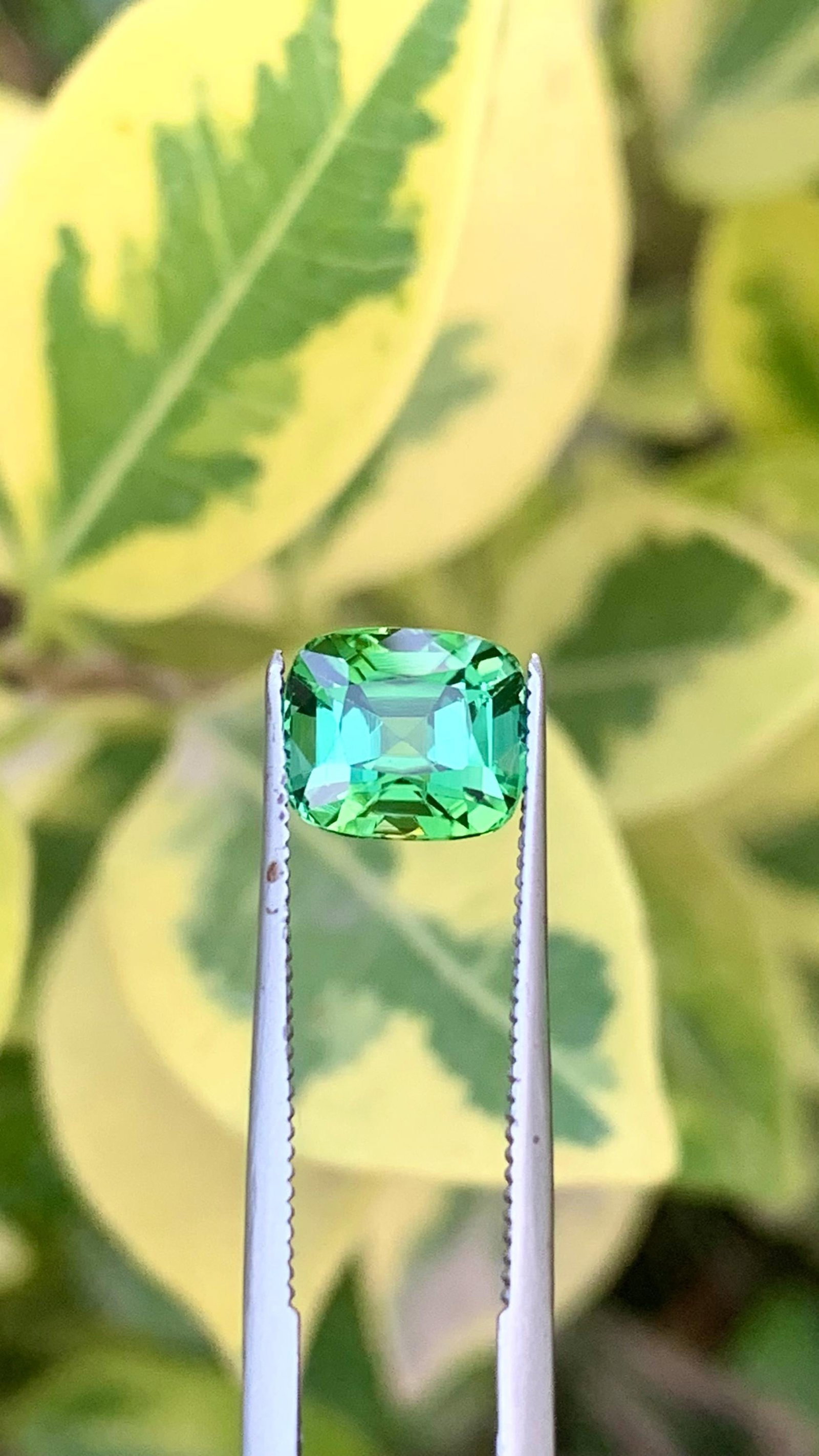 Natural Mint Green Tourmaline Cushion Cut Gemstone For Ring - 2.110 Carat - 6