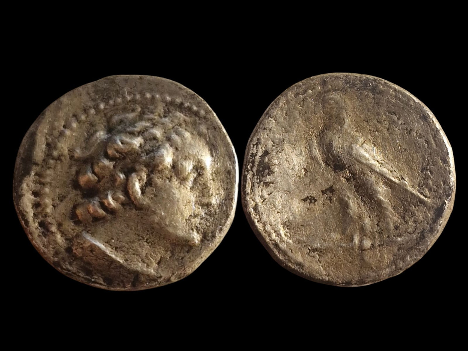 PTOLEMAIC KINGDOM | PTOLEMY VI PHILOMETOR SILVER DIDRACHM (c. 163–145 BC): Title: PTOLEMAIC KINGDOM | PTOLEMY VI PHILOMETOR SILVER DIDRACHM (c. 163–145 BC) Description: The Historical Narrative: The Resilience of the Lagid Dynasty This silver Didrachm is a magnificent