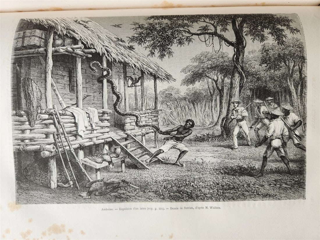 1872 HISTORY VOYAGES ILLUSTRATED antique AFRICA RUSSIA INDIA SUMATRA INDO-CHINA - 7