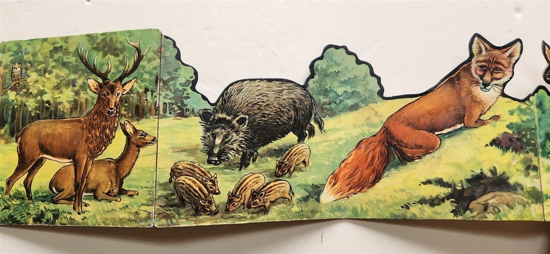 1950s antique ILLUSTRATED CHILDREN BOOK tiere der heimat ANIMALS of the HOMELAND - 4