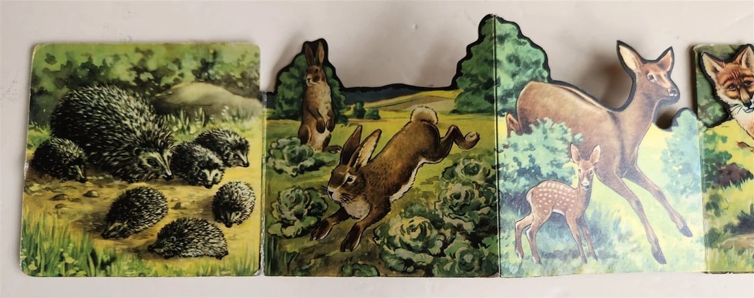 1950s antique ILLUSTRATED CHILDREN BOOK tiere der heimat ANIMALS of the HOMELAND - 6