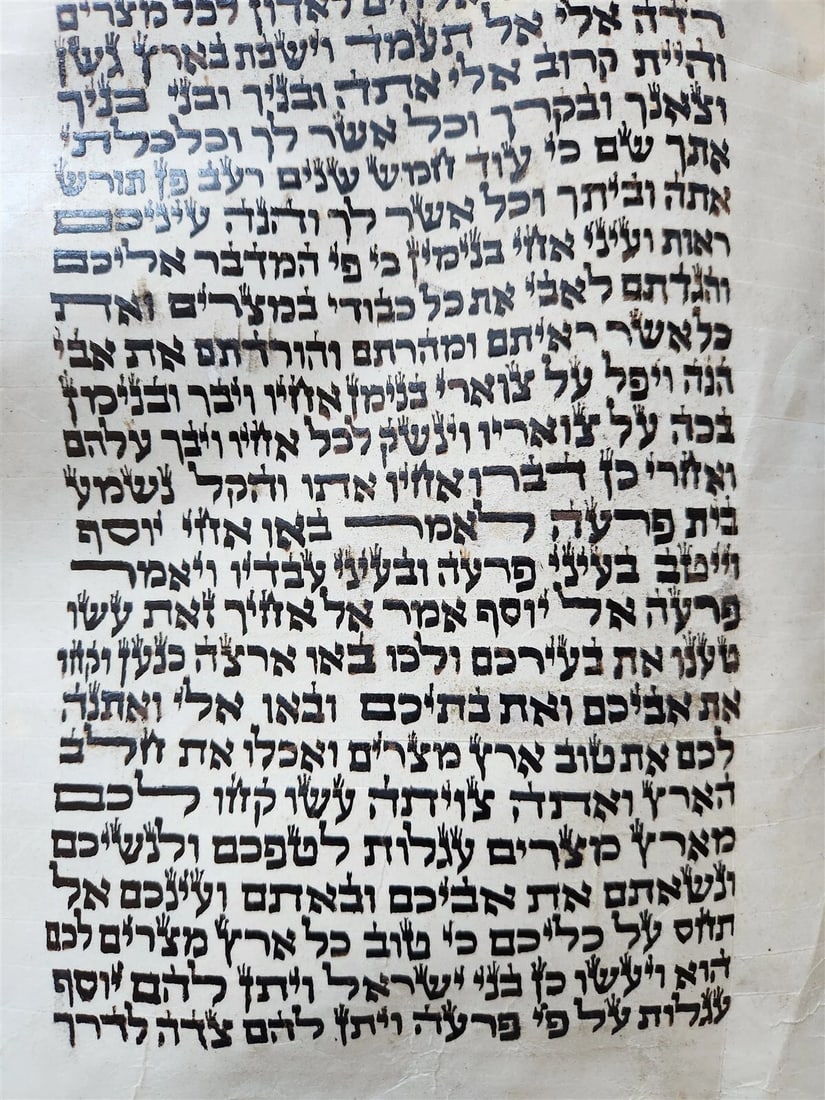 TORAH SCROLL FRAGMENT MANUSCRIPT on VELLUM antique BIBLE GENESIS 44:30-48:5 - 2