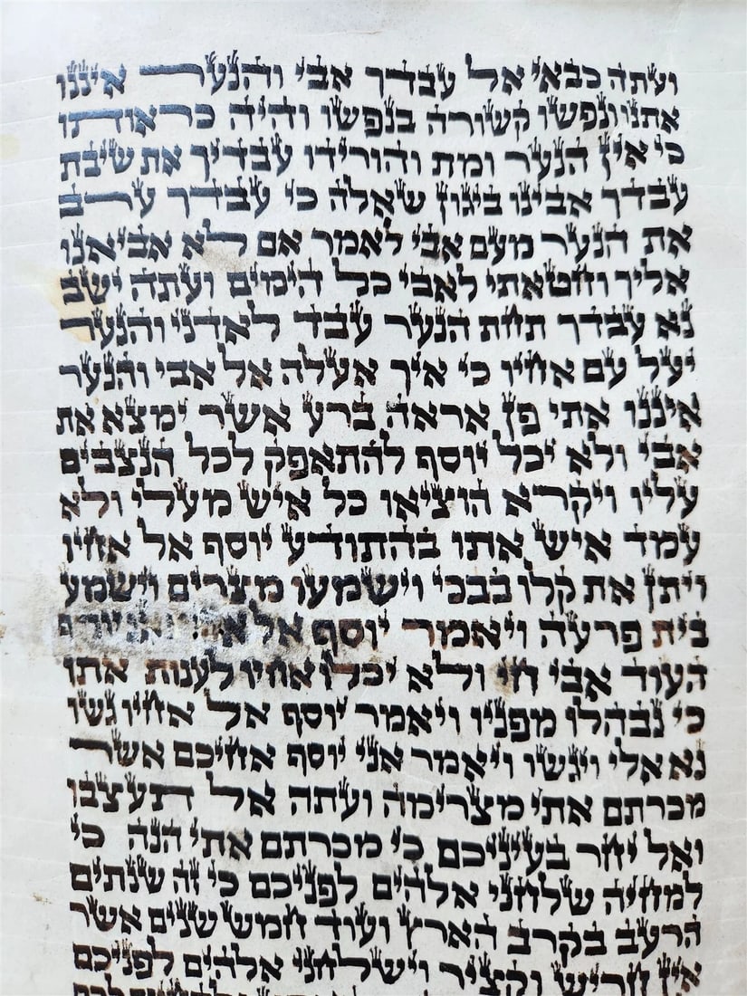 TORAH SCROLL FRAGMENT MANUSCRIPT on VELLUM antique BIBLE GENESIS 44:30-48:5 - 3