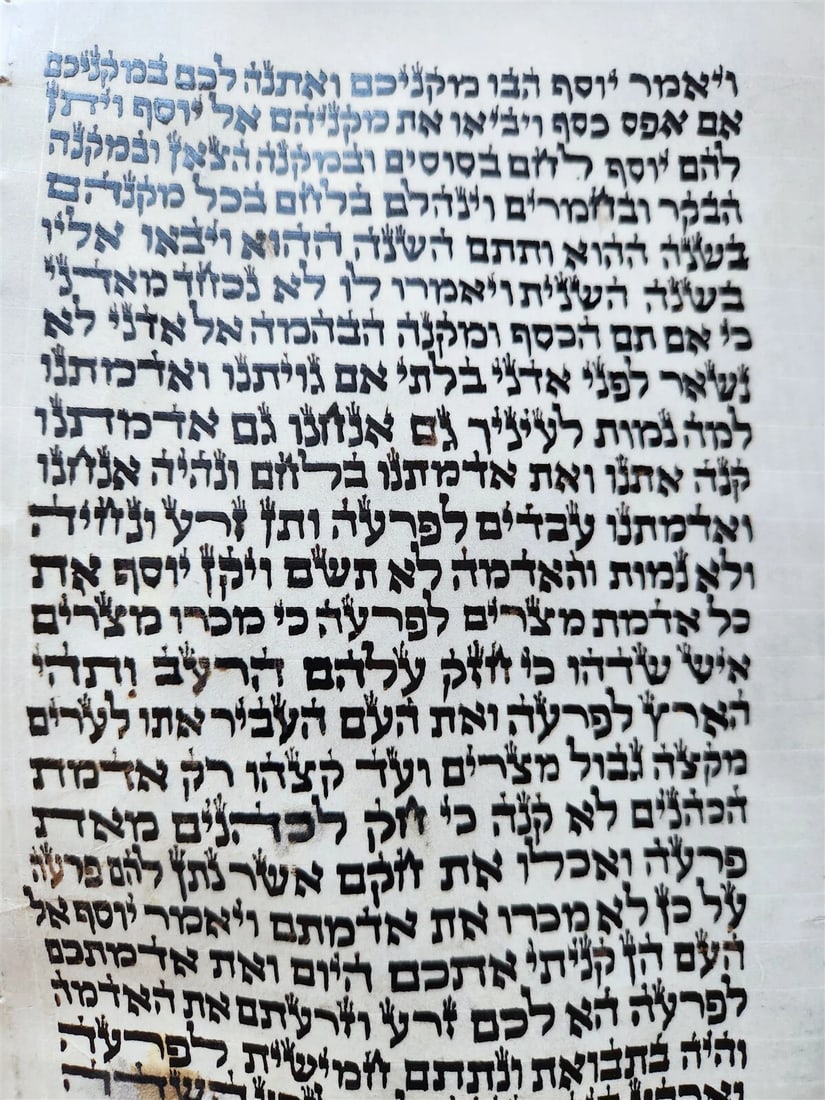 TORAH SCROLL FRAGMENT MANUSCRIPT on VELLUM antique BIBLE GENESIS 44:30-48:5 - 4