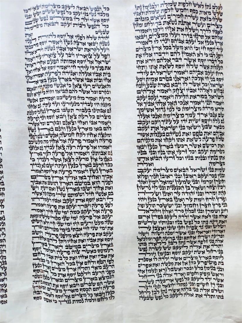 TORAH SCROLL FRAGMENT MANUSCRIPT on VELLUM antique BIBLE GENESIS 44:30-48:5 - 6