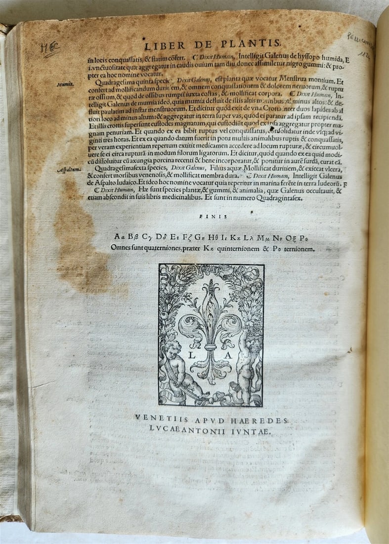 1565 RENAISSANCE EDITION OF GALEN antique FOLIO 16th century FAMOUS MEDICAL WORK - 3