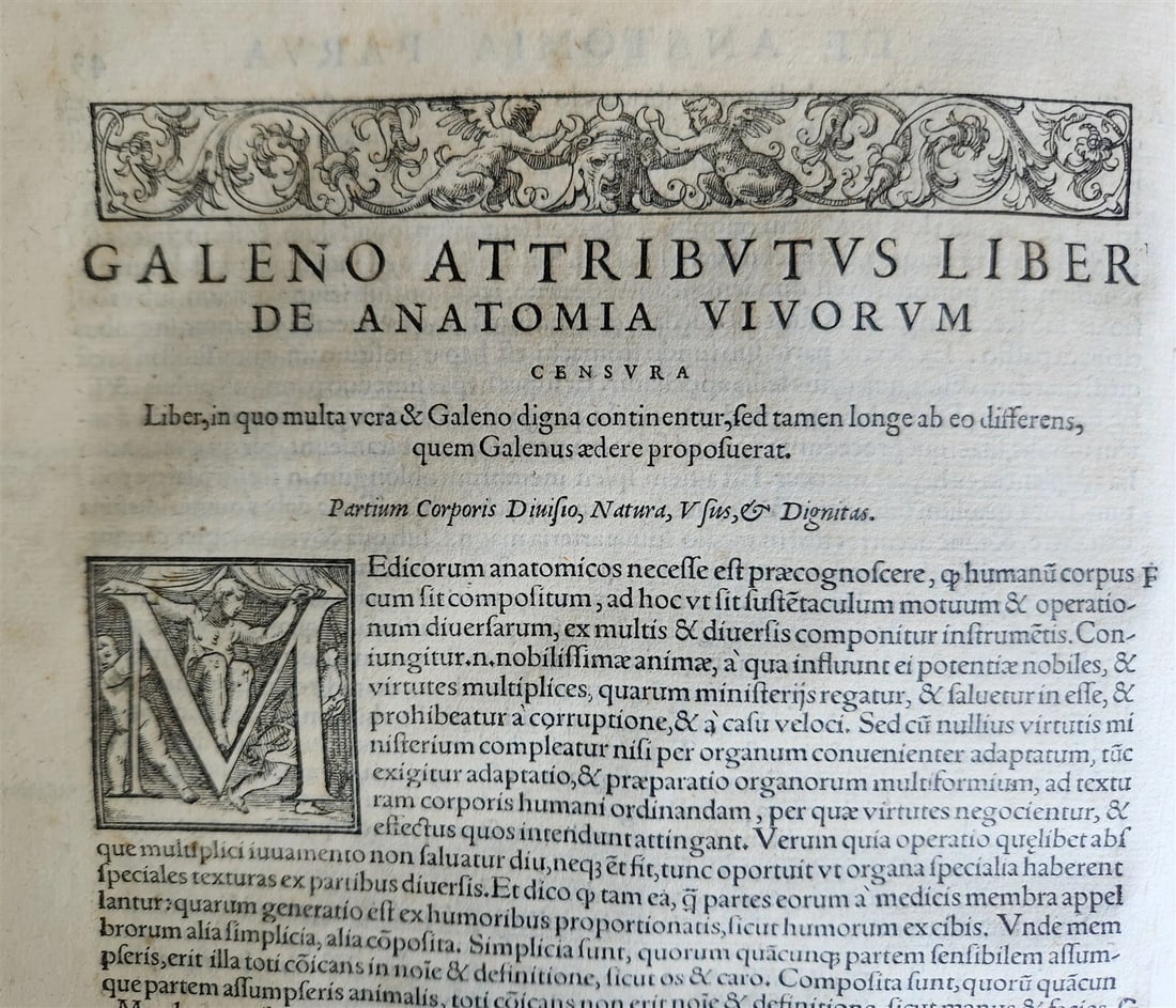 1565 RENAISSANCE EDITION OF GALEN antique FOLIO 16th century FAMOUS MEDICAL WORK - 6