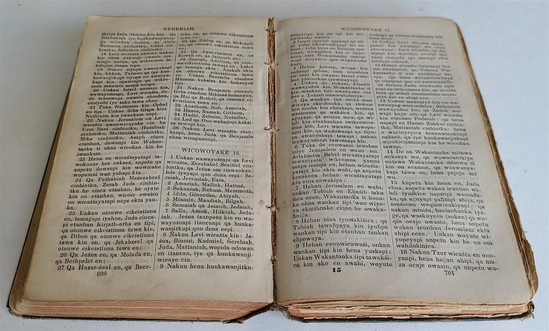 1879 BIBLE in DAKOTA INDIAN LANGUAGE antique AMERICANA rare - 13