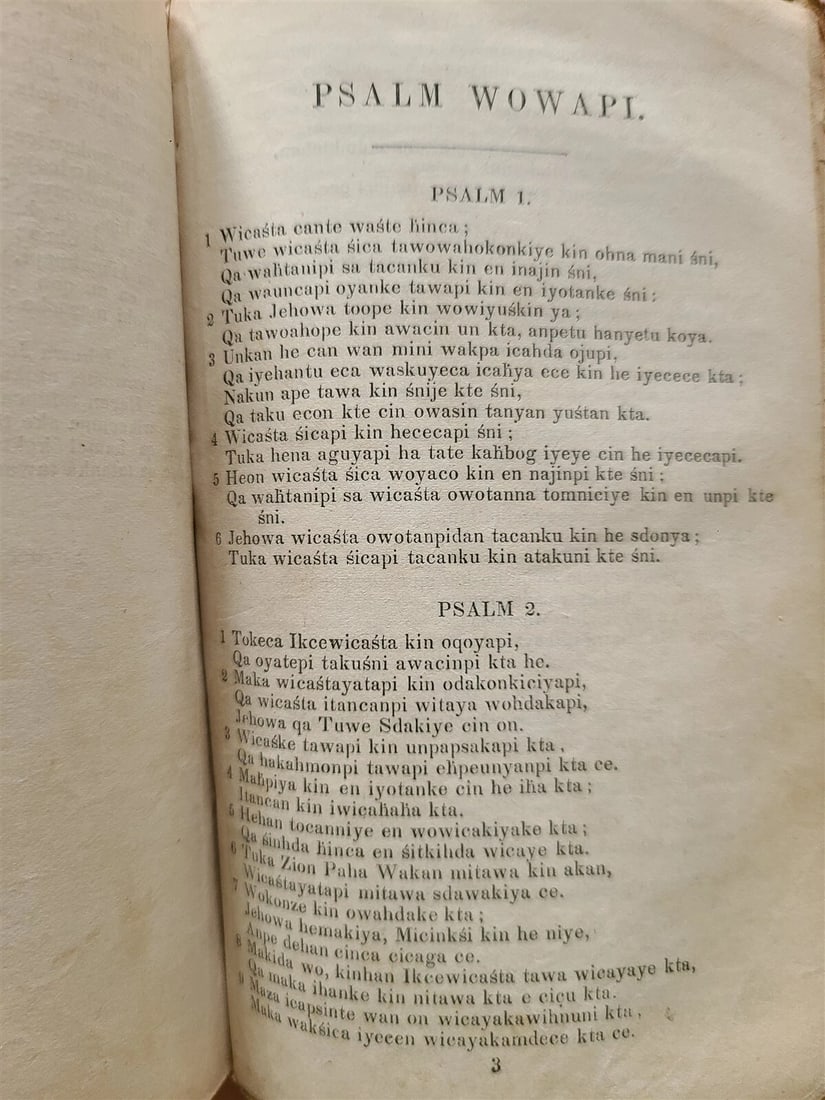 1879 BIBLE in DAKOTA INDIAN LANGUAGE antique AMERICANA rare - 4