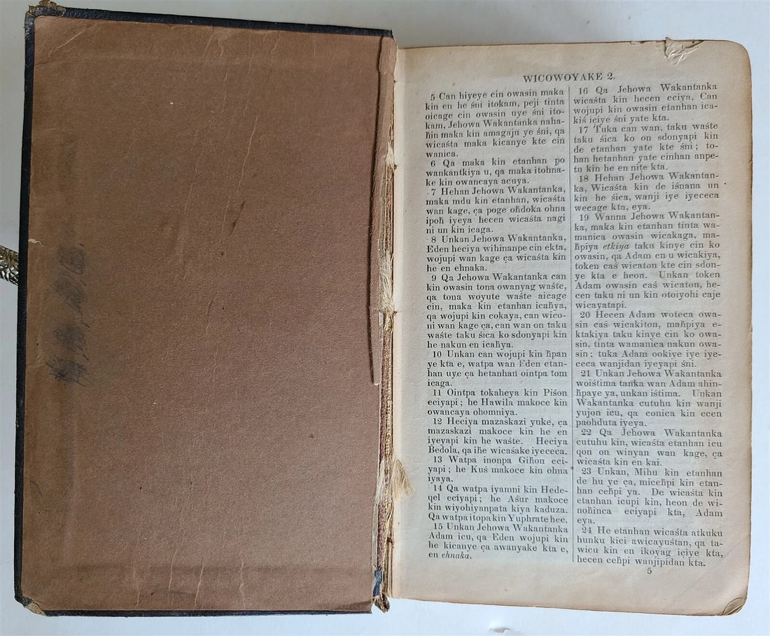 1879 BIBLE in DAKOTA INDIAN LANGUAGE antique AMERICANA rare - 5