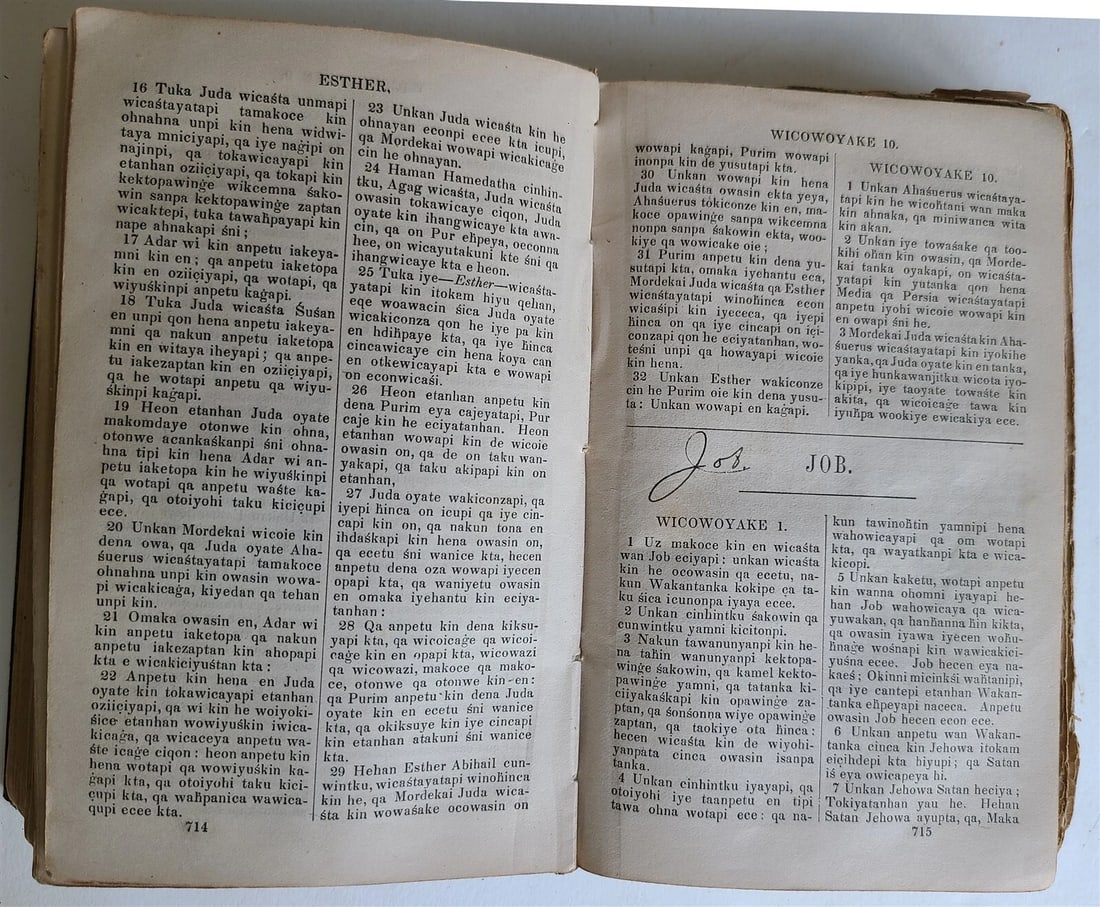 1879 BIBLE in DAKOTA INDIAN LANGUAGE antique AMERICANA rare - 9