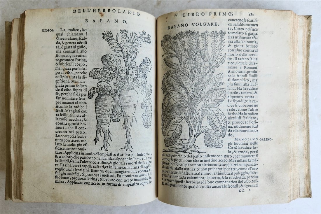 1561 PHARMACOPEIA ILLUSTRATED MEDICAL PLANTS by SANSOVINO antique 16th CENTURY - 12