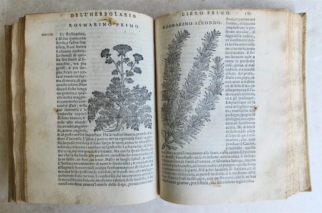1561 PHARMACOPEIA ILLUSTRATED MEDICAL PLANTS by SANSOVINO antique 16th CENTURY - 14