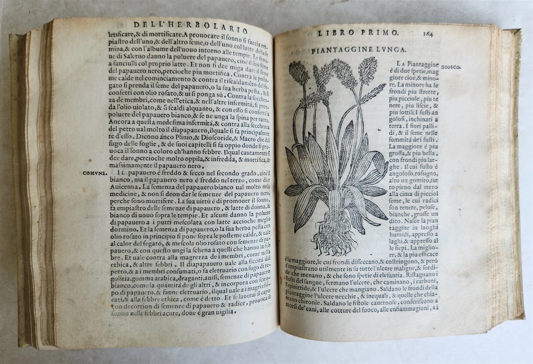 1561 PHARMACOPEIA ILLUSTRATED MEDICAL PLANTS by SANSOVINO antique 16th CENTURY - 16