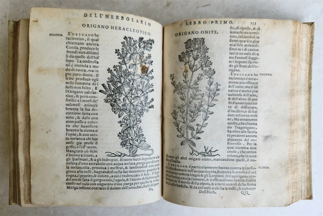 1561 PHARMACOPEIA ILLUSTRATED MEDICAL PLANTS by SANSOVINO antique 16th CENTURY - 17