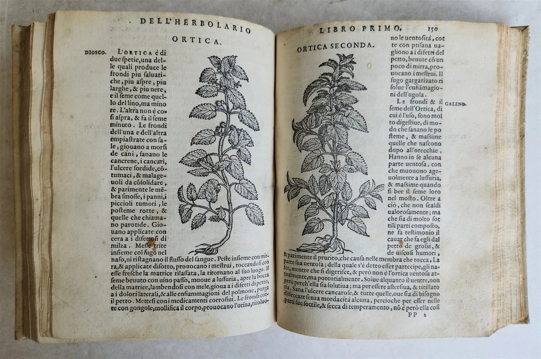 1561 PHARMACOPEIA ILLUSTRATED MEDICAL PLANTS by SANSOVINO antique 16th CENTURY - 18