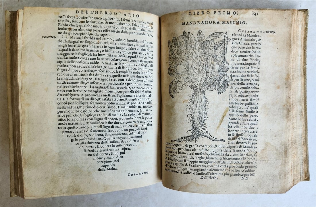 1561 PHARMACOPEIA ILLUSTRATED MEDICAL PLANTS by SANSOVINO antique 16th CENTURY - 19
