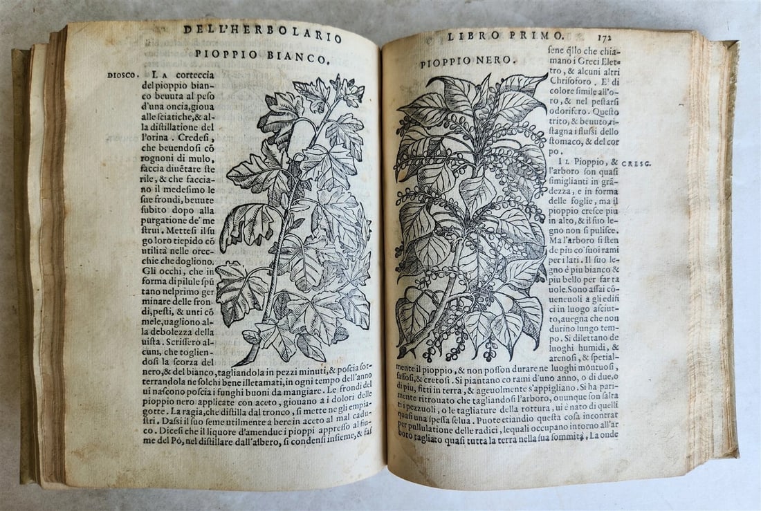 1561 PHARMACOPEIA ILLUSTRATED MEDICAL PLANTS by SANSOVINO antique 16th CENTURY (1 of 20)
