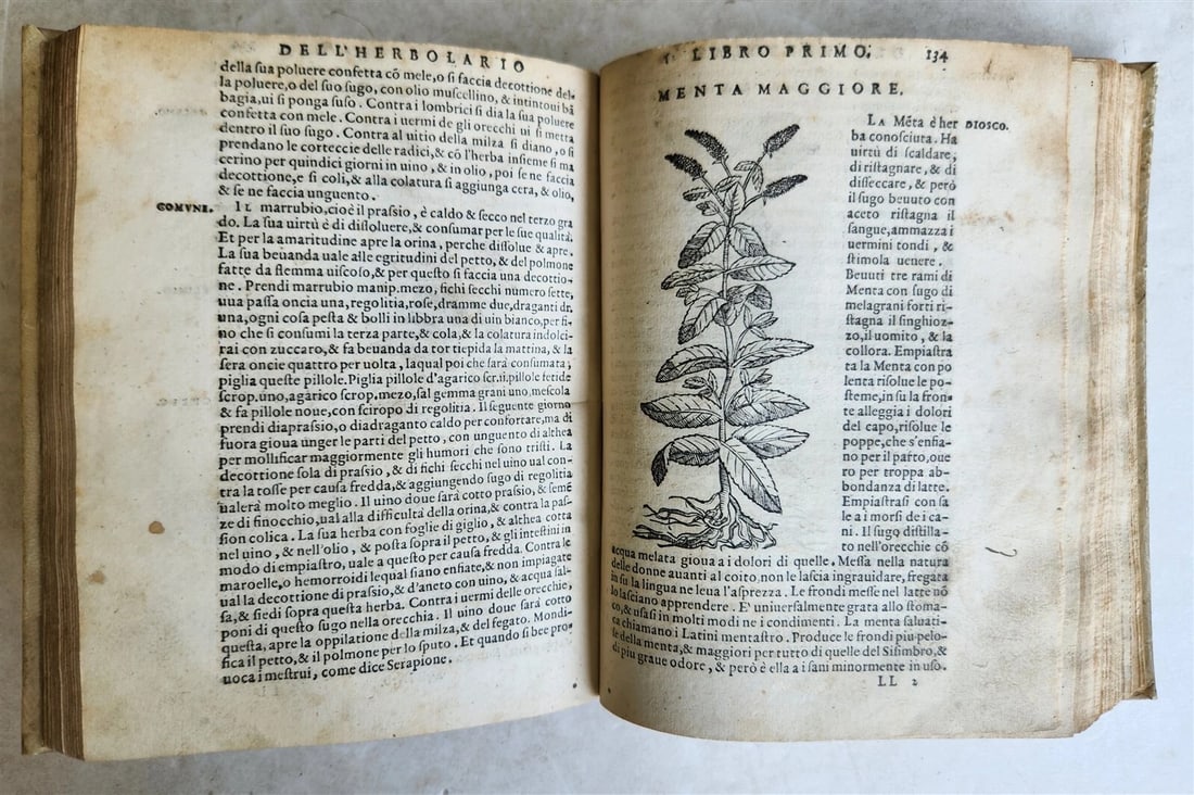 1561 PHARMACOPEIA ILLUSTRATED MEDICAL PLANTS by SANSOVINO antique 16th CENTURY - 20
