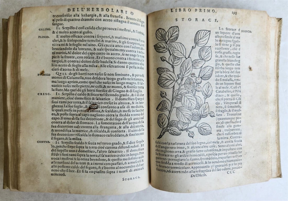 1561 PHARMACOPEIA ILLUSTRATED MEDICAL PLANTS by SANSOVINO antique 16th CENTURY - 7