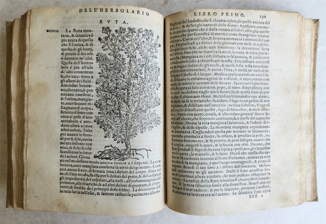 1561 PHARMACOPEIA ILLUSTRATED MEDICAL PLANTS by SANSOVINO antique 16th CENTURY - 8