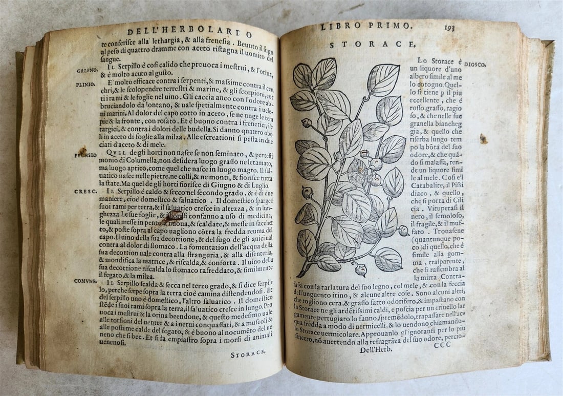 1561 PHARMACOPEIA ILLUSTRATED MEDICAL PLANTS by SANSOVINO antique 16th CENTURY - 9