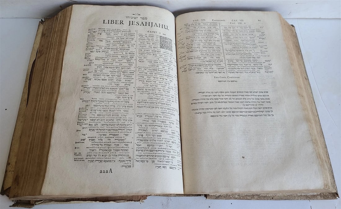 1657 BIBLE in HEBREW & GREEK antique MASSIVE FOLIO PIGSKIN OLD & NEW TESTAMENT - 10