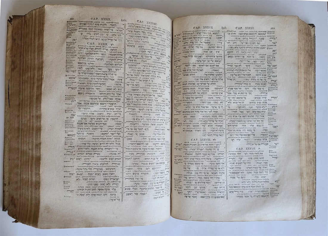 1657 BIBLE in HEBREW & GREEK antique MASSIVE FOLIO PIGSKIN OLD & NEW TESTAMENT - 19