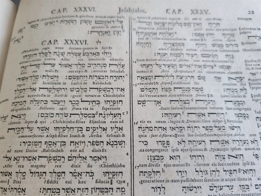 1657 BIBLE in HEBREW & GREEK antique MASSIVE FOLIO PIGSKIN OLD & NEW TESTAMENT - 9