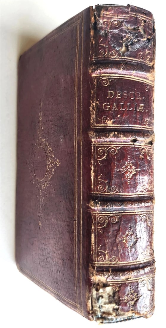 1629 SIVE FRANCORUM REGIS antique FRENCH HISTORY ELZEVIER France FINE BINDING - 5