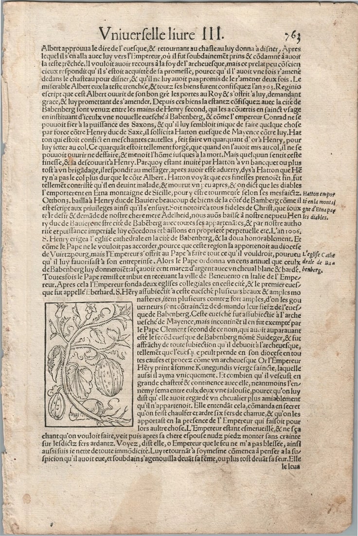 1575 PANNONIA HUNGARY VIEW LEAF from BELLEFOREST EDITION of MUNSTER COSMOGRAPHY - 2