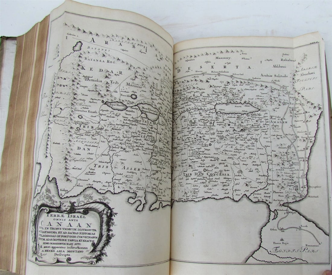 1698 ILLUSTRATED VELLUM BOUND HAND TOOLED MASSIVE FOLIO CRITICI SACRI ANTIQUE v6 - 4
