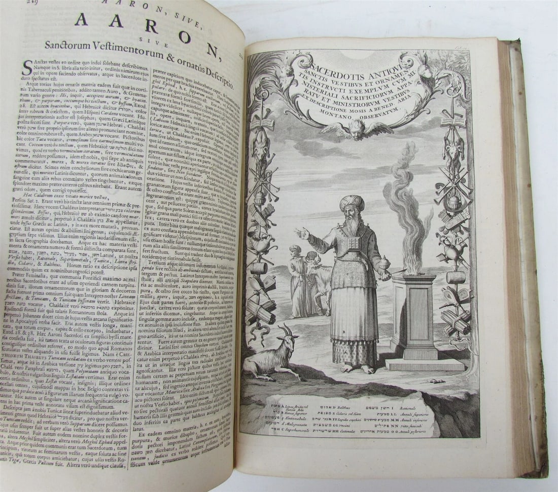 1698 ILLUSTRATED VELLUM BOUND HAND TOOLED MASSIVE FOLIO CRITICI SACRI ANTIQUE v6 - 9