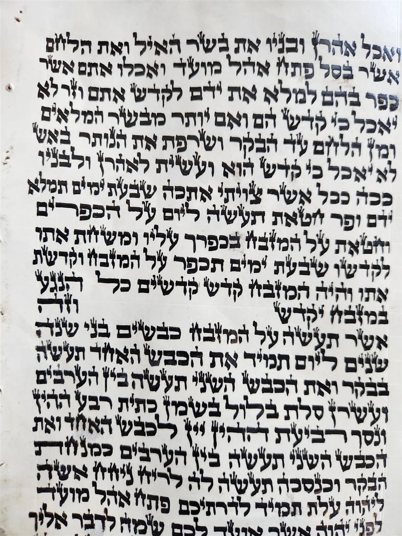 TORAH SCROLL FRAGMENT MANUSCRIPT on VELLUM size 22 by 23" antique EXODUS 28:27-3 - 3