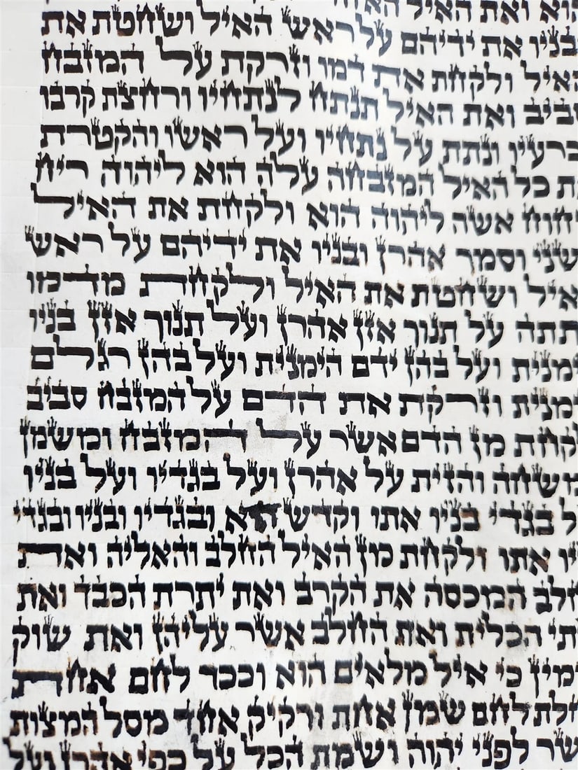 TORAH SCROLL FRAGMENT MANUSCRIPT on VELLUM size 22 by 23" antique EXODUS 28:27-3 - 4