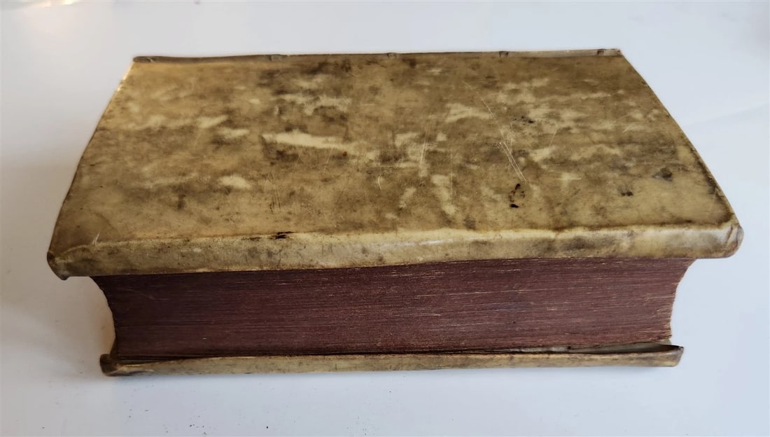 1684 BIBLE in ENGLISH antique VELLUM BOUND LONDON 17th CENTURY - 6