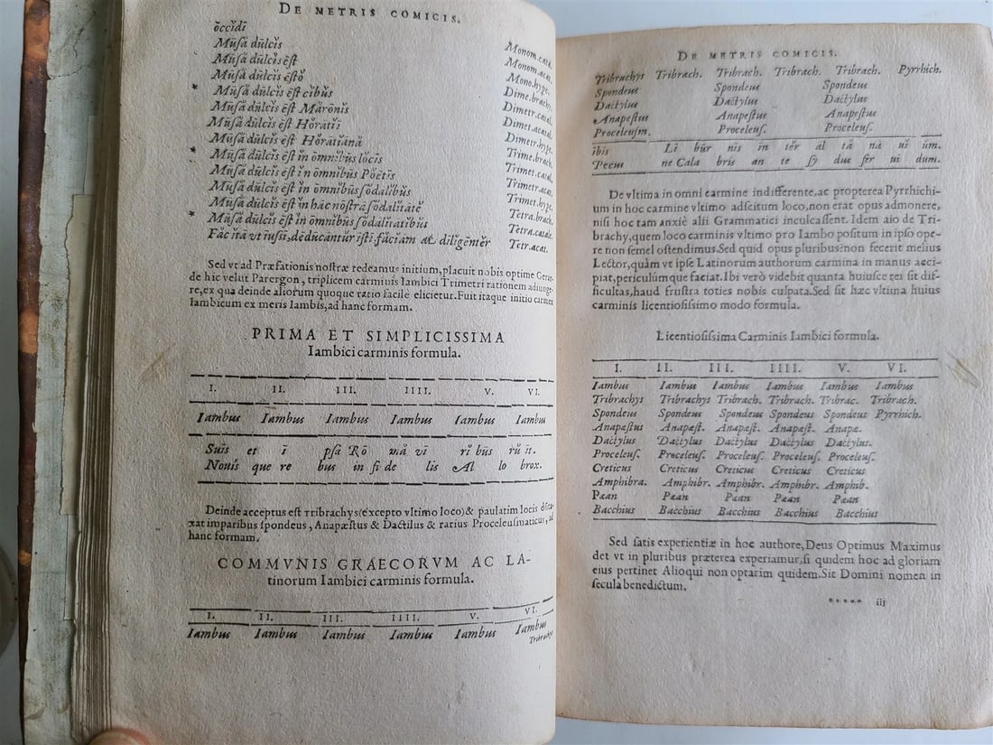 1560 COMEDIES of TERENCE COMMENTARY by Pierre Davantes Antesignanus antique 16c - 8