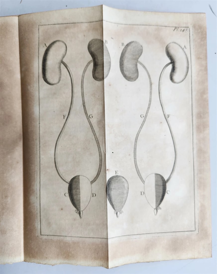 1752 MEDICAL TREATISE ILLUSTRATED ANATOMY by Francois PLANQUE antique V. 7 - 13