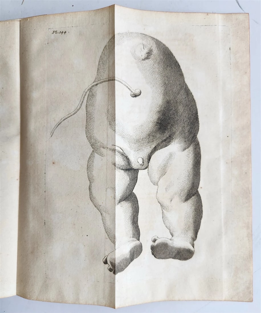 1752 MEDICAL TREATISE ILLUSTRATED ANATOMY by Francois PLANQUE antique V. 7 - 14