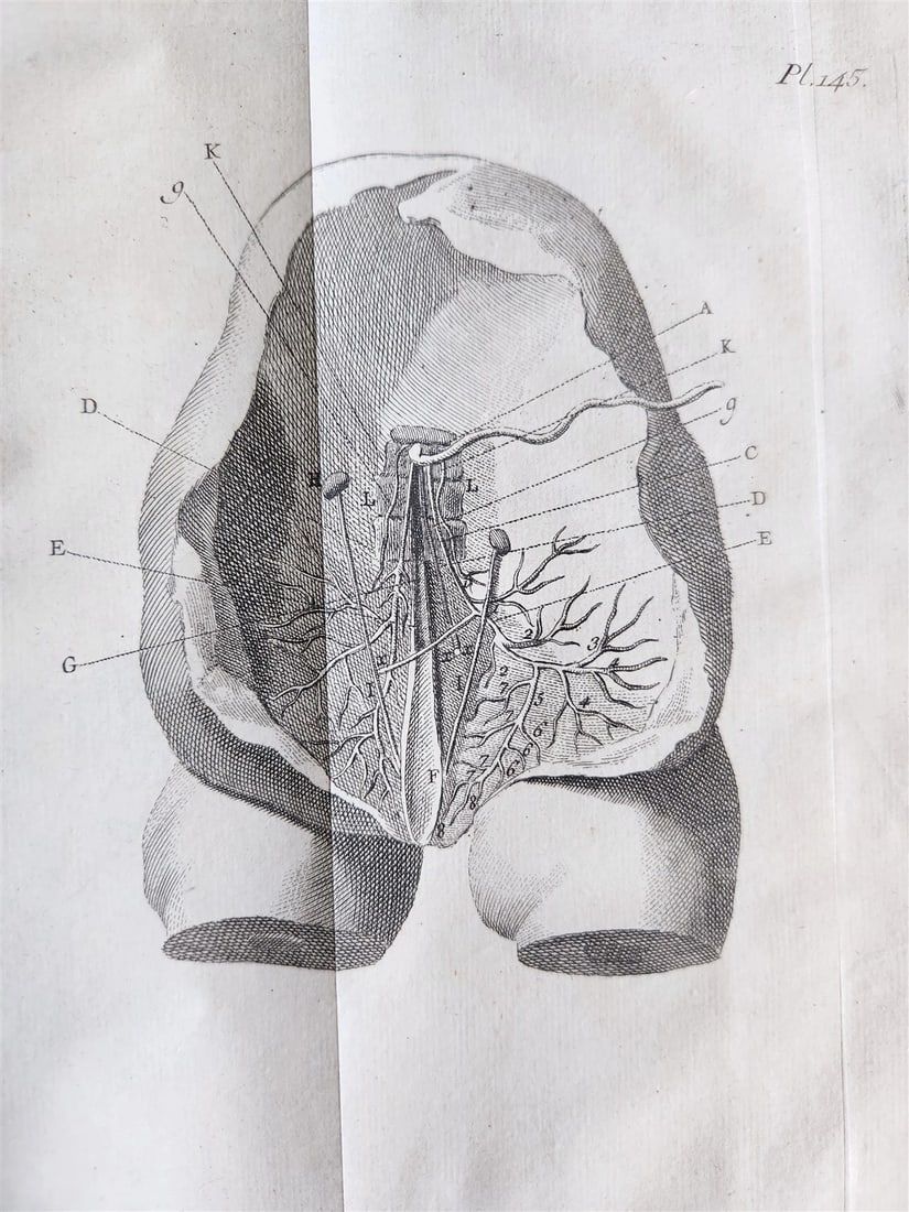 1752 MEDICAL TREATISE ILLUSTRATED ANATOMY by Francois PLANQUE antique V. 7 - 15