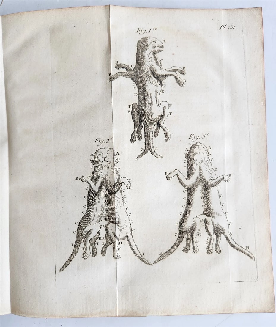 1752 MEDICAL TREATISE ILLUSTRATED ANATOMY by Francois PLANQUE antique V. 7 - 18