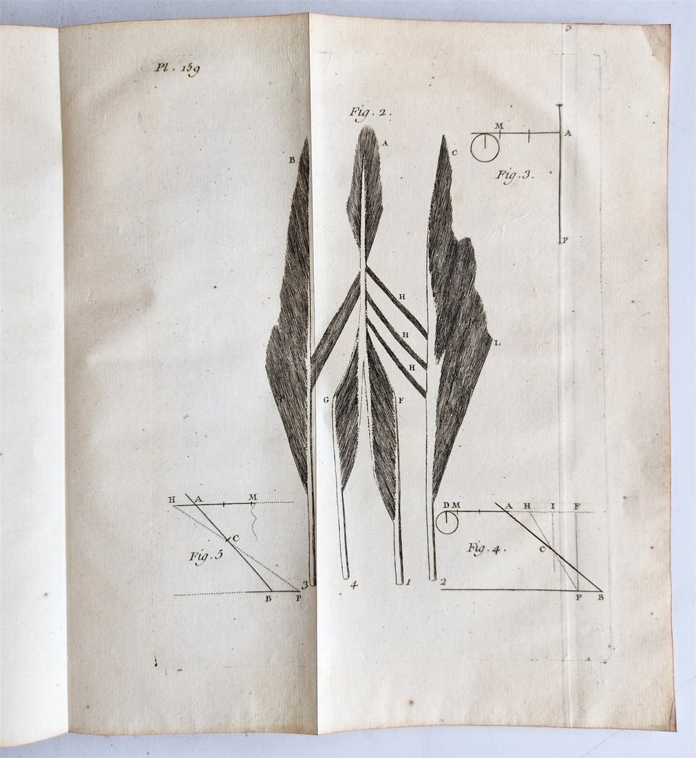 1752 MEDICAL TREATISE ILLUSTRATED ANATOMY by Francois PLANQUE antique V. 7 - 19